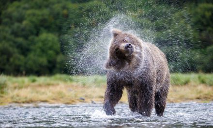 Celebrating Our Public Lands Assignment Winner Elissa Title