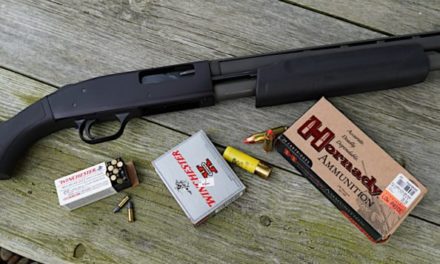 Could Ammo Shortages Affect Your Hunting Season This Year?