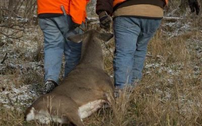 Deer Carts: 5 Top Picks for Packing Out Even the Biggest Deer