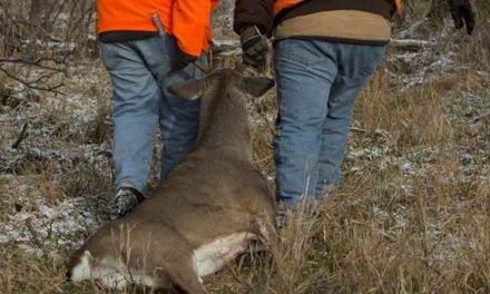 Deer Carts: 5 Top Picks for Packing Out Even the Biggest Deer