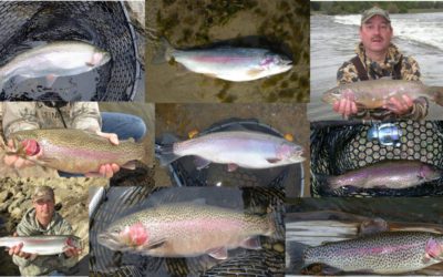 Don’t Judge a Rainbow by it’s Spots