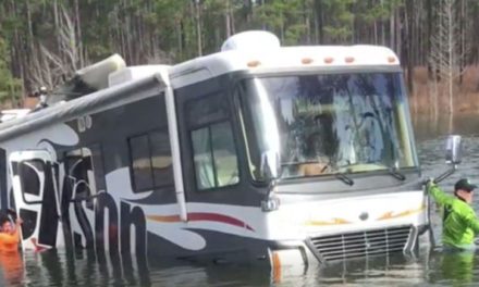 Flashback to the Dog That Backed a Fisherman’s RV Into a Lake