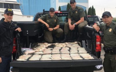 Flashback to When Poachers Took 75 Walleyes From Detroit River