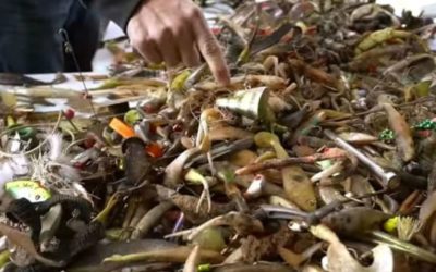 Here’s What a Year’s Worth of Trash Cleaned Out of River Looks Like