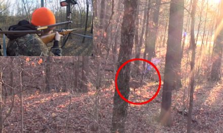 Hunter Smokes Big Buck on Camera During Indiana Shotgun Deer Season