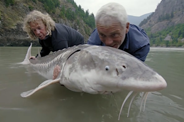 Jeremy Wade Nearly Gets Out-Muscled By a 140-Pound White Sturgeon