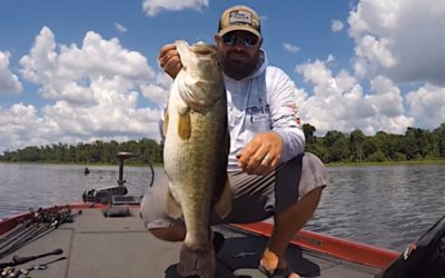 Lake Fork Fishing: What You Need, and How to Catch The Big Ones