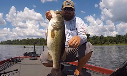 Lake Fork Fishing: What You Need, and How to Catch The Big Ones