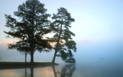 Lake Guntersville Fishing: This Largemouth Mecca Has a Lot Going for It