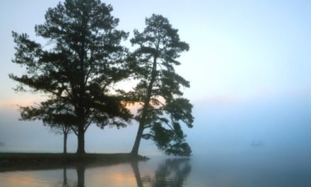 Lake Guntersville Fishing: This Largemouth Mecca Has a Lot Going for It