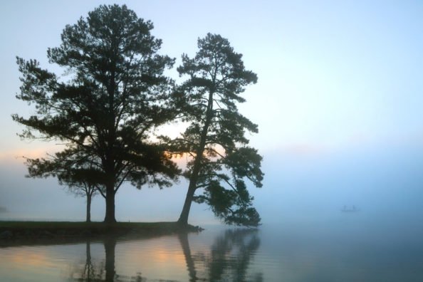 Lake Guntersville Fishing: This Largemouth Mecca Has a Lot Going for It