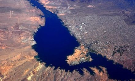 Lake Havasu Fishing: The Southwest Destination for Big Bass