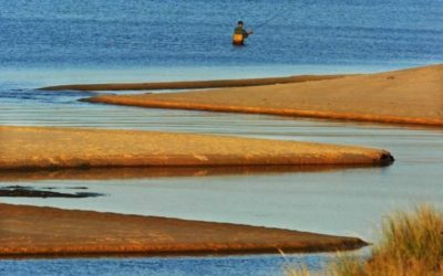 Lake Michigan Fishing: All There is to Know