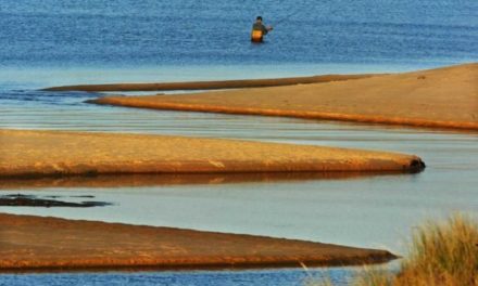 Lake Michigan Fishing: All There is to Know