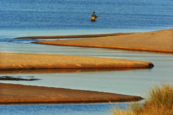 Lake Michigan Fishing: All There is to Know