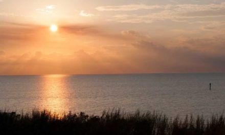 Lake Okeechobee: All There is to Know About This Famous Florida Fishing Hotspot