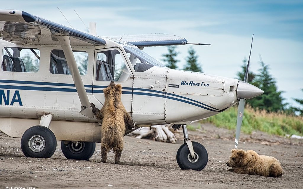 Last Frame: Curious Cubs