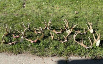Michigan Poacher Facing $59,000 in Restitution for Illegally Killing 9 Trophy Bucks