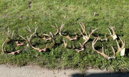 Michigan Poacher Facing $59,000 in Restitution for Illegally Killing 9 Trophy Bucks