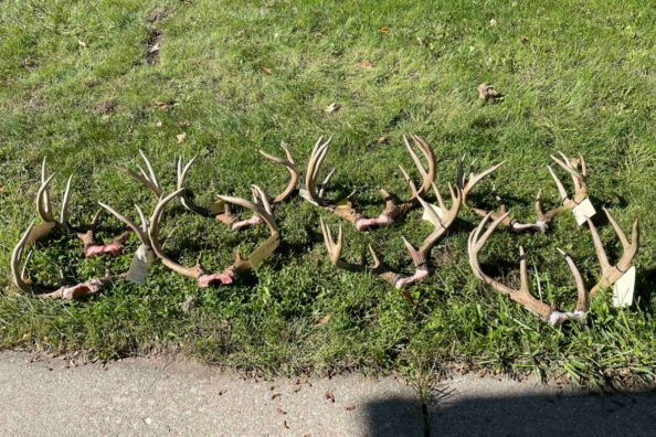 Michigan Poacher Facing $59,000 in Restitution for Illegally Killing 9 Trophy Bucks