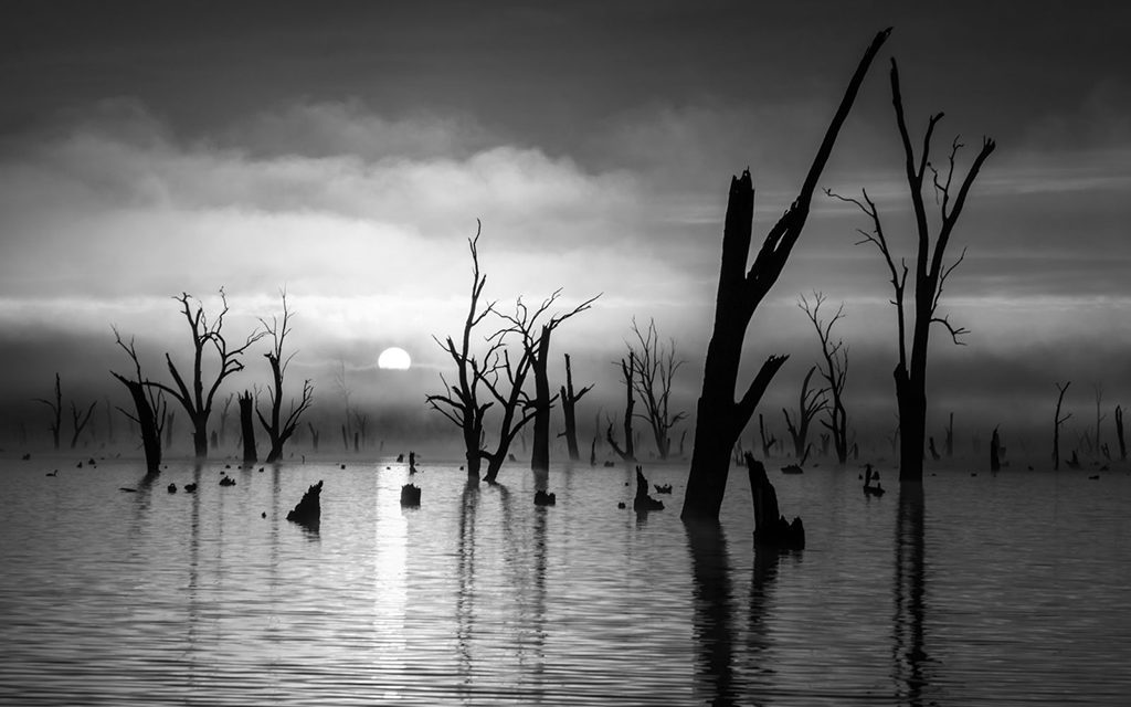 Monochrome Vision Assignment Winner Garry Everett