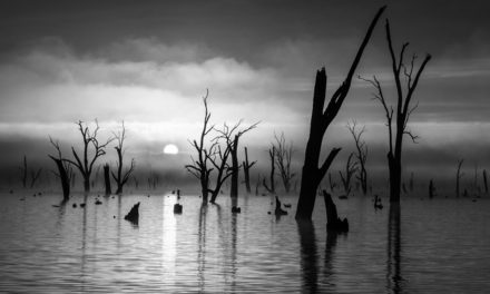 Monochrome Vision Assignment Winner Garry Everett