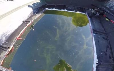 Old Jon Boat Turned Into Awesome Glass-Bottom Boat
