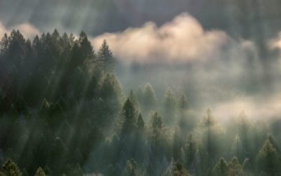 Photo Of The Day By Cate Hotchkiss