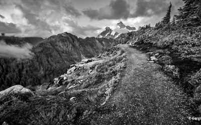 Photo Of The Day By Sergio Rojo