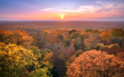 Photos Of The Day For October 2021