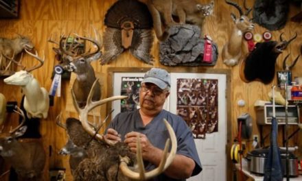 Picking a Taxidermist: 6 Things to Look For