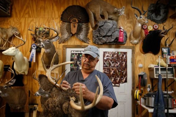 Picking a Taxidermist: 6 Things to Look For
