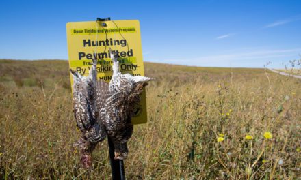 Public Grouse: An Adventure Story