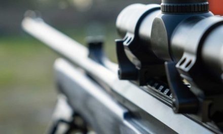 Rifle Scopes for Long Distance Shooting: Best Features and 6 Top Choices