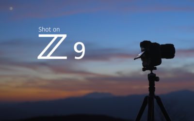 Shot On Nikon Z 9: See What The New Flagship Can Do
