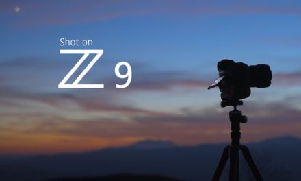 Shot On Nikon Z 9: See What The New Flagship Can Do