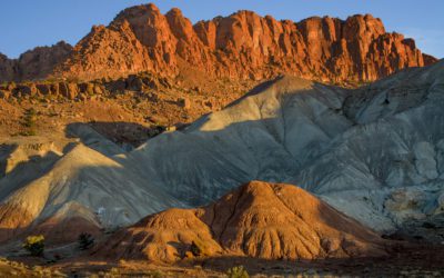 Show Scale In Landscapes