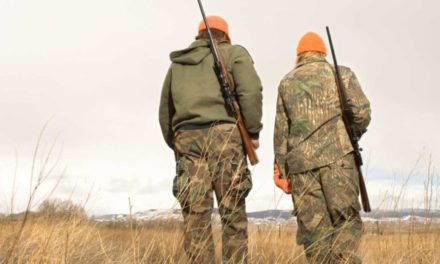 What is a Hunter Safety Card and Do I Need One?