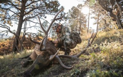 What Is the Goal in Wildlife Conservation? Hint: It’s Not Just About Preserving Game Animals