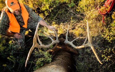 What is the Hunter’s Role in Wildlife Conservation? Facts to Share With Non-Hunters
