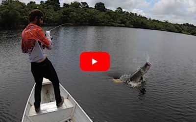 250-Pound Arapaima Drags Canoe With Three Anglers Around Like a Bath Toy