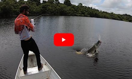 250-Pound Arapaima Drags Canoe With Three Anglers Around Like a Bath Toy