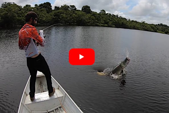 250-Pound Arapaima Drags Canoe With Three Anglers Around Like a Bath Toy