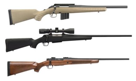 5 Affordable Rifles Ideal for Michigan Deer Hunting