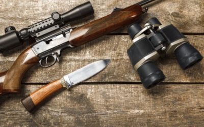 5 Best Shotgun Scopes for Various Uses