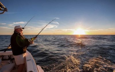 Best Saltwater Fishing Rig Setups: 7 Different Tried and True Ways to Catch Them