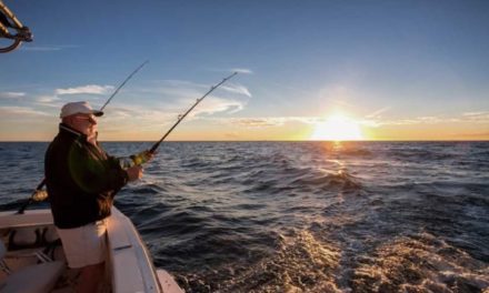 Best Saltwater Fishing Rig Setups: 7 Different Tried and True Ways to Catch Them