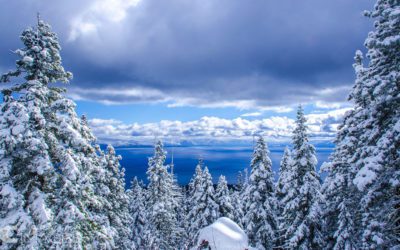 Celebrate The Season With These 32 Images Of Winter
