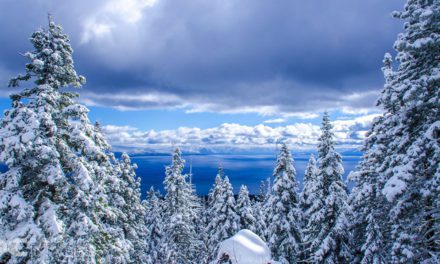 Celebrate The Season With These 32 Images Of Winter