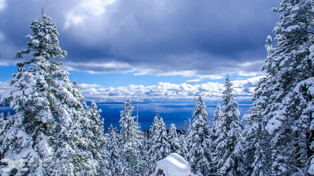 Celebrate The Season With These 32 Images Of Winter